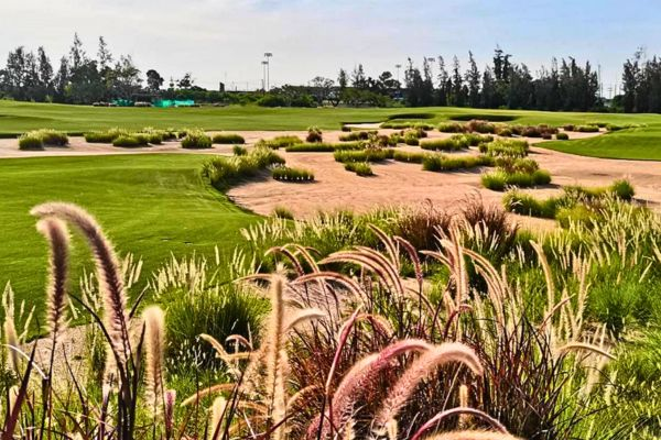Ballyshear Golf Links